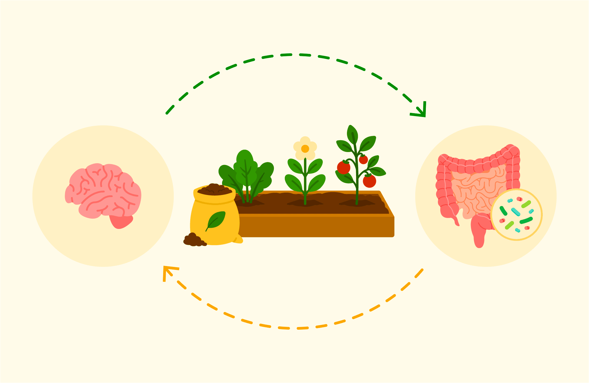 TNN87_is_your_gut_health_influencing_your_hunger_2.png