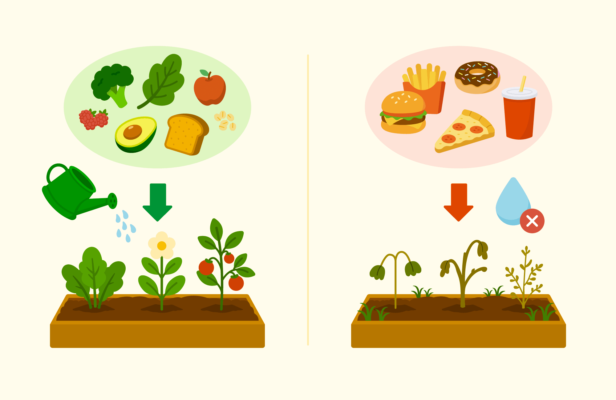 TNN87_is_your_gut_health_influencing_your_hunger_3.png