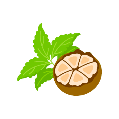natural-sweeteners.png