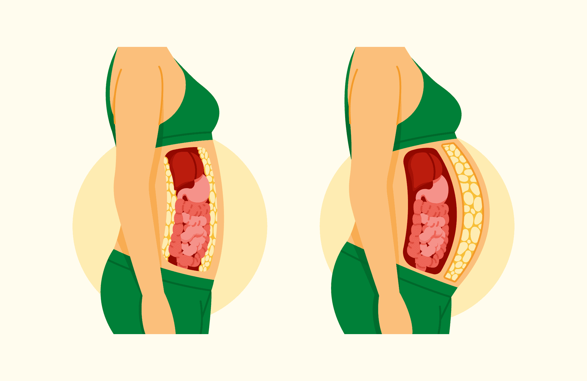 visceral_fat_vs_subcutaneous_fat_1.png